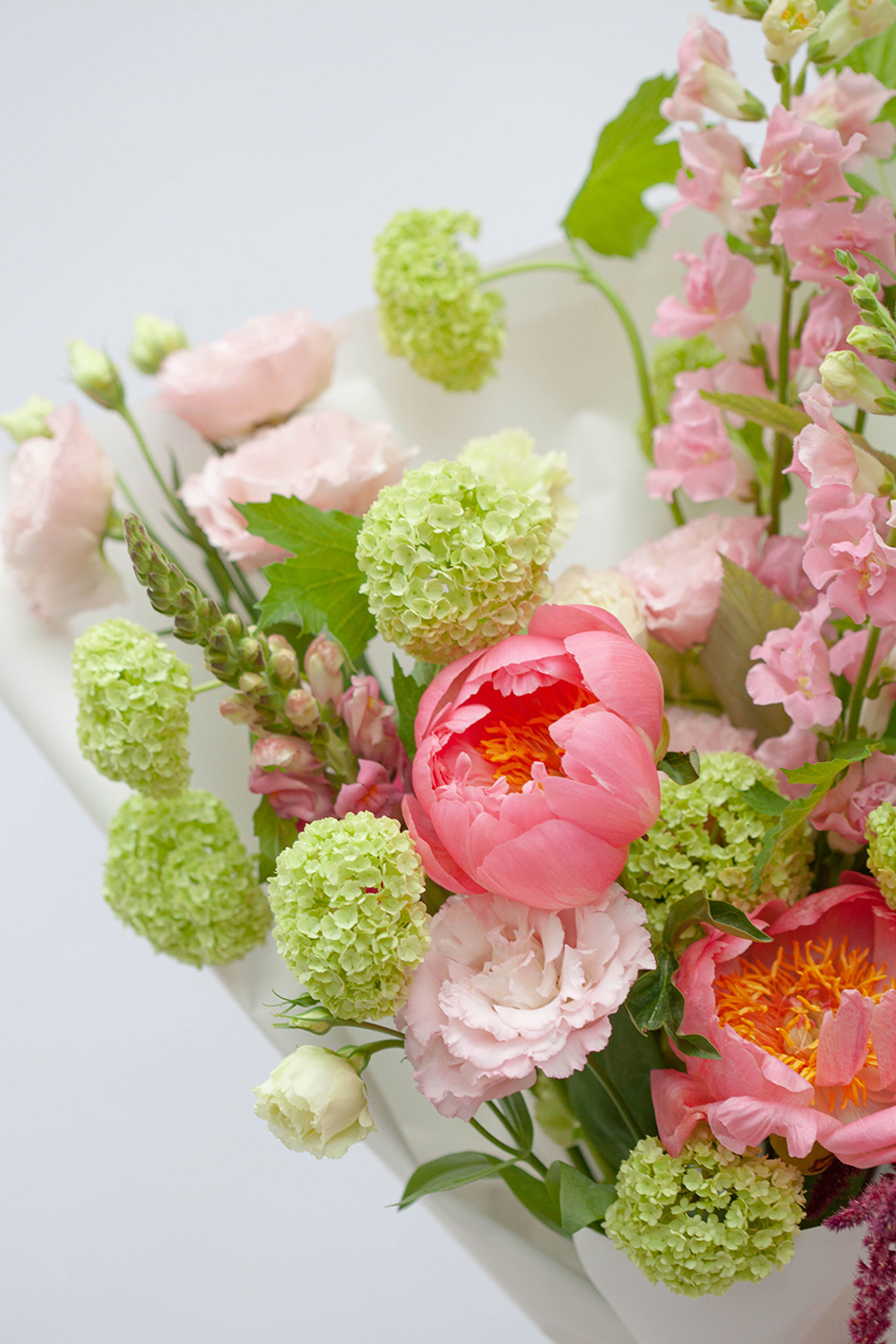Pink sorbet