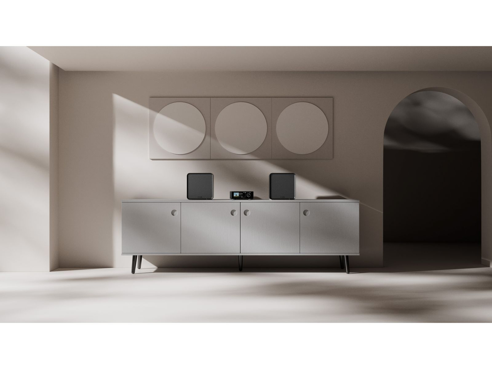 Акустическая система EverSolo SE100