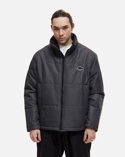 Куртка Anteater Downlight Grey