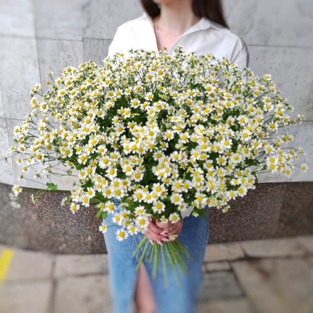Букет с ромашками
