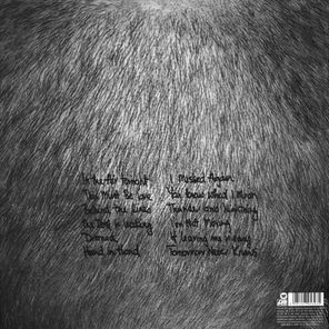 Phil Collins / Face Value (LP)