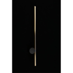 Настенный светодиодный светильник Aployt Beatris APL.056.11.09