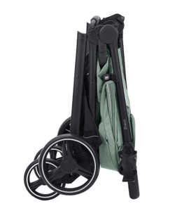 Прогулочная коляска Carrello Bravo