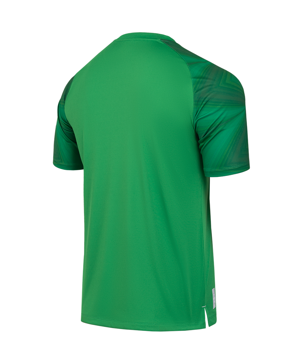 Футболка вратарская JÖGEL NATIONAL PerFormDRY GK Jersey, зеленый