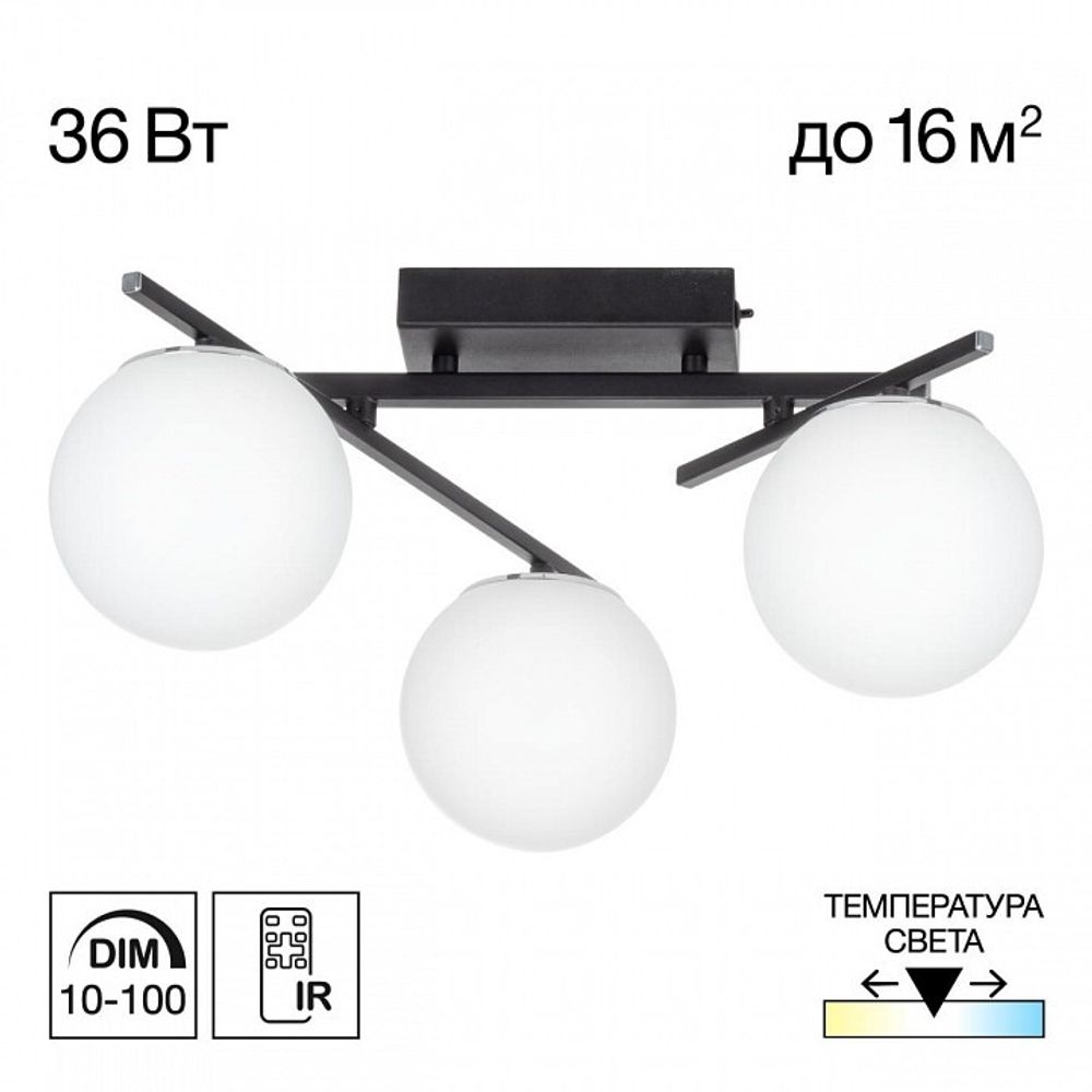 Потолочная люстра Citilux Dorsy CL223132