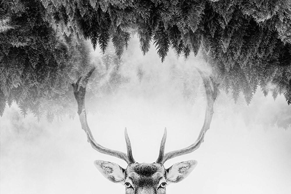 Дизайнерские обои Wall Street Grayscale