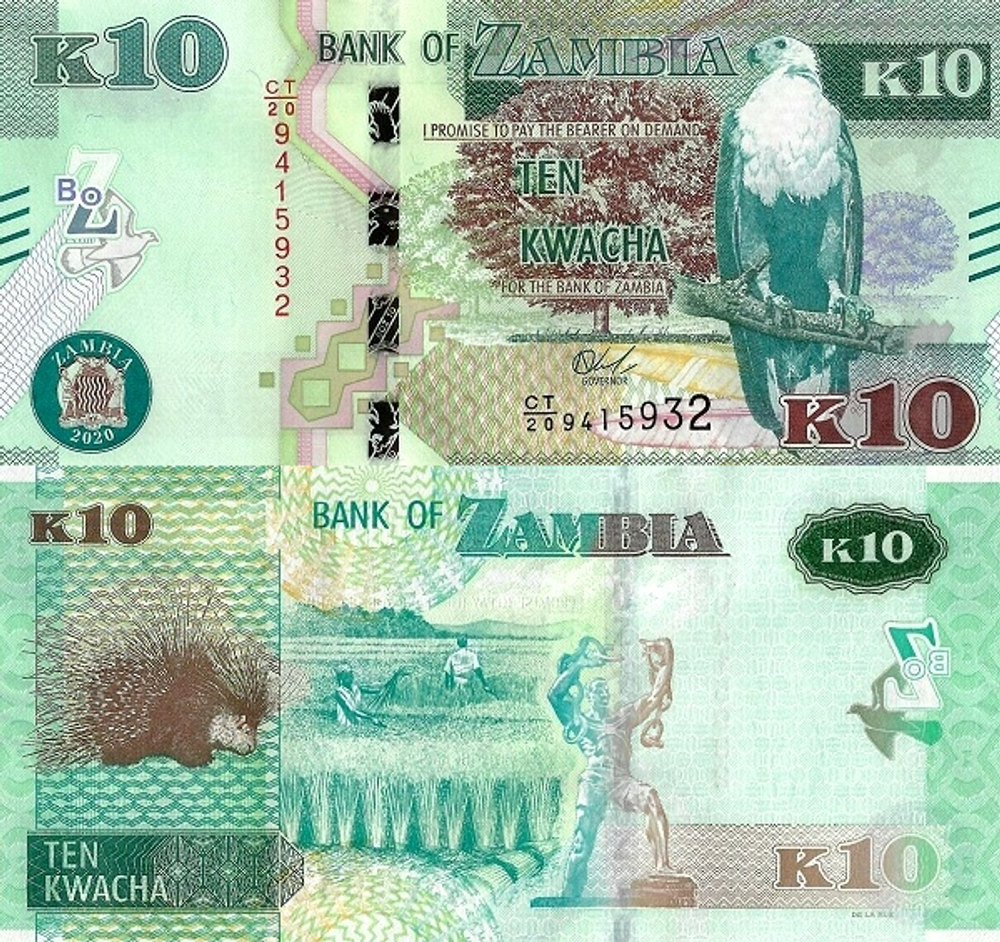 Замбия 10 квача 2015-2022 Дикобраз UNC