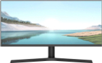 Монитор 29" NPC MZ300L