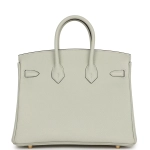 Женская сумка из коллекции B с золотой фурнитурой Hermès Birkin