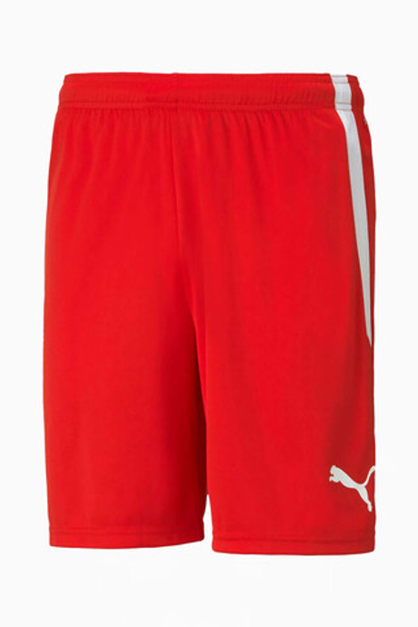 Шорты Puma teamLIGA