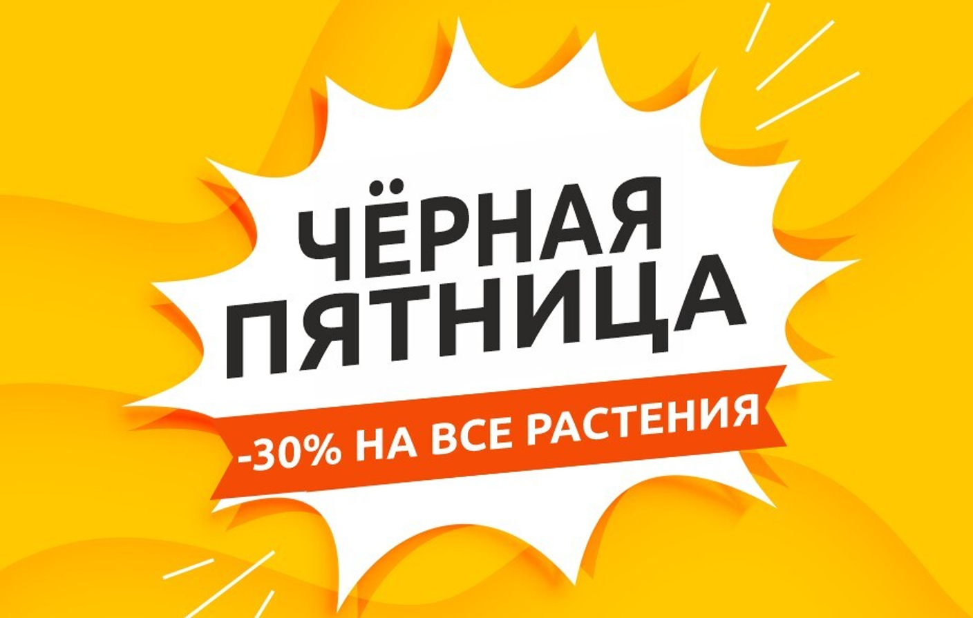 Чёрная пятница в садовом центре Биосфера!