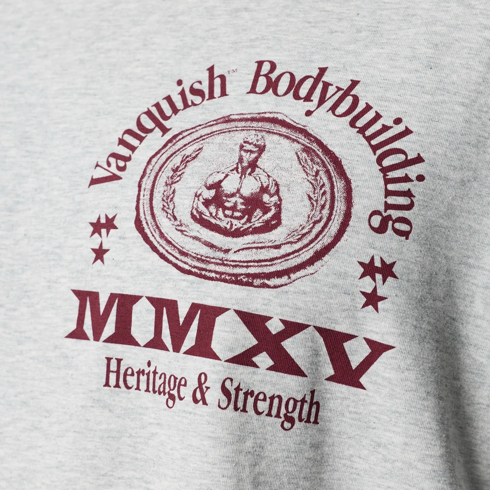 Футболка VANQUISH Heritage Oversized T-Shirt Grey