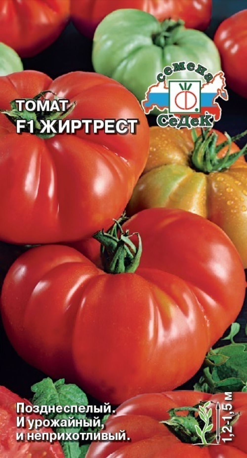 Томат Жиртрест F1 Седек