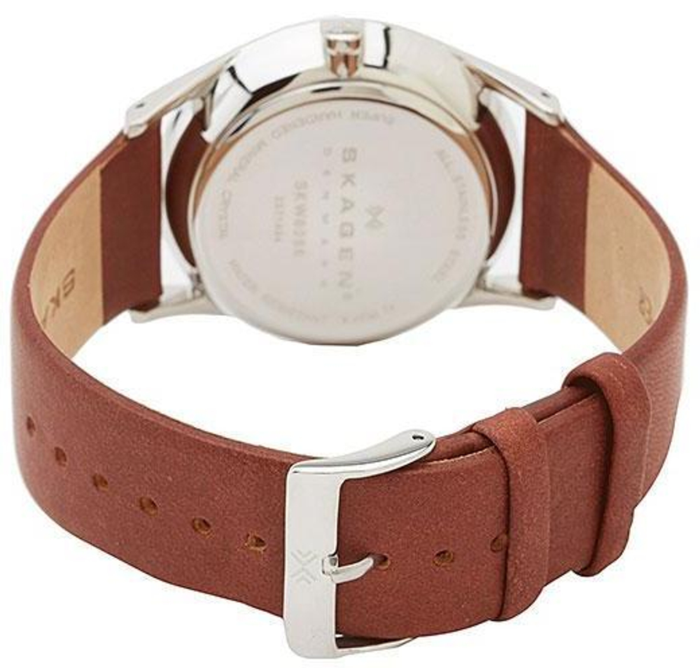 Мужские наручные часы Skagen SKW6086