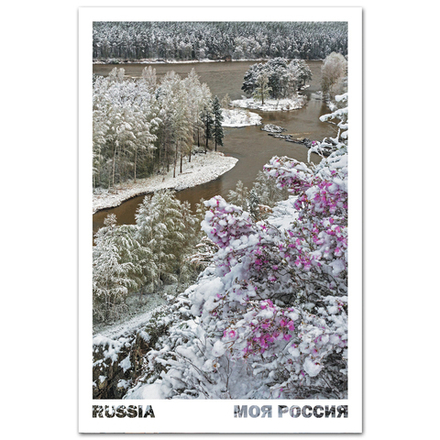 Заснеженный маральник. Река Катунь, Алтай