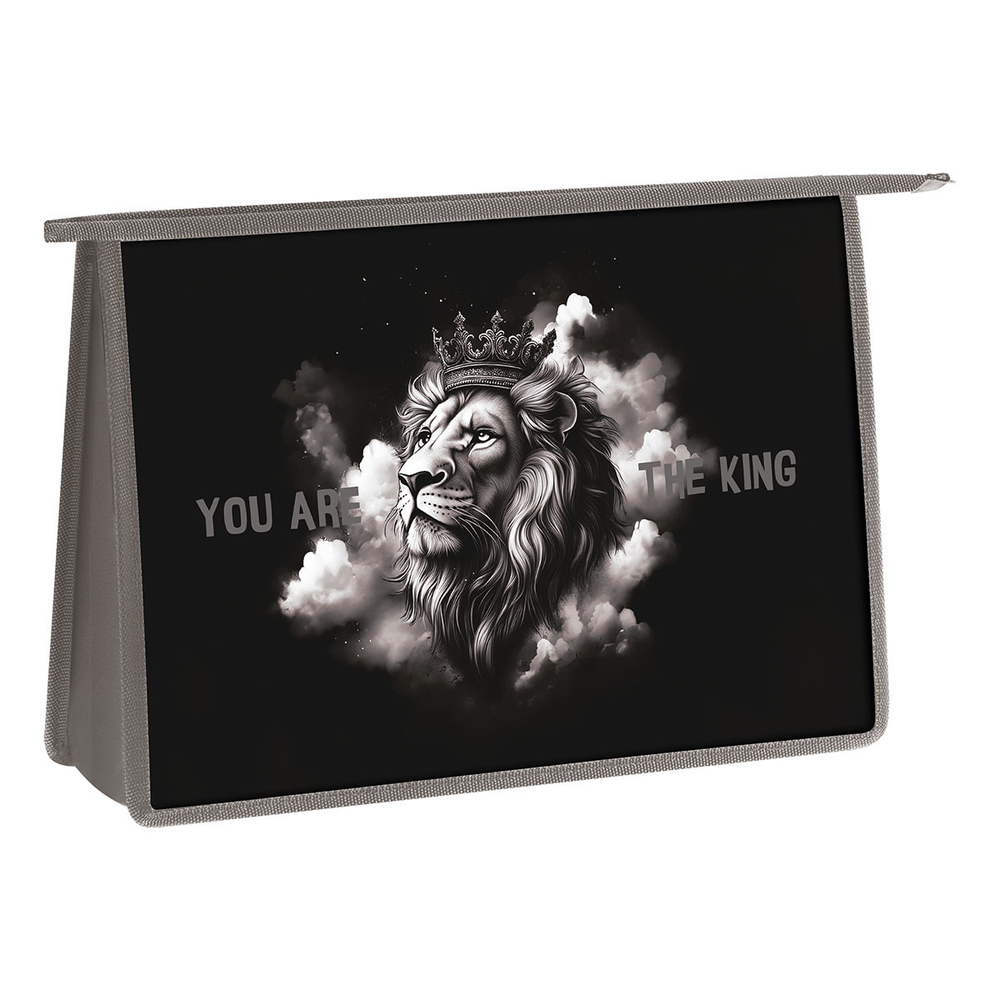 Папка для труда 2 отделения, А4, "King", пластик, на молнии, ArtSpace