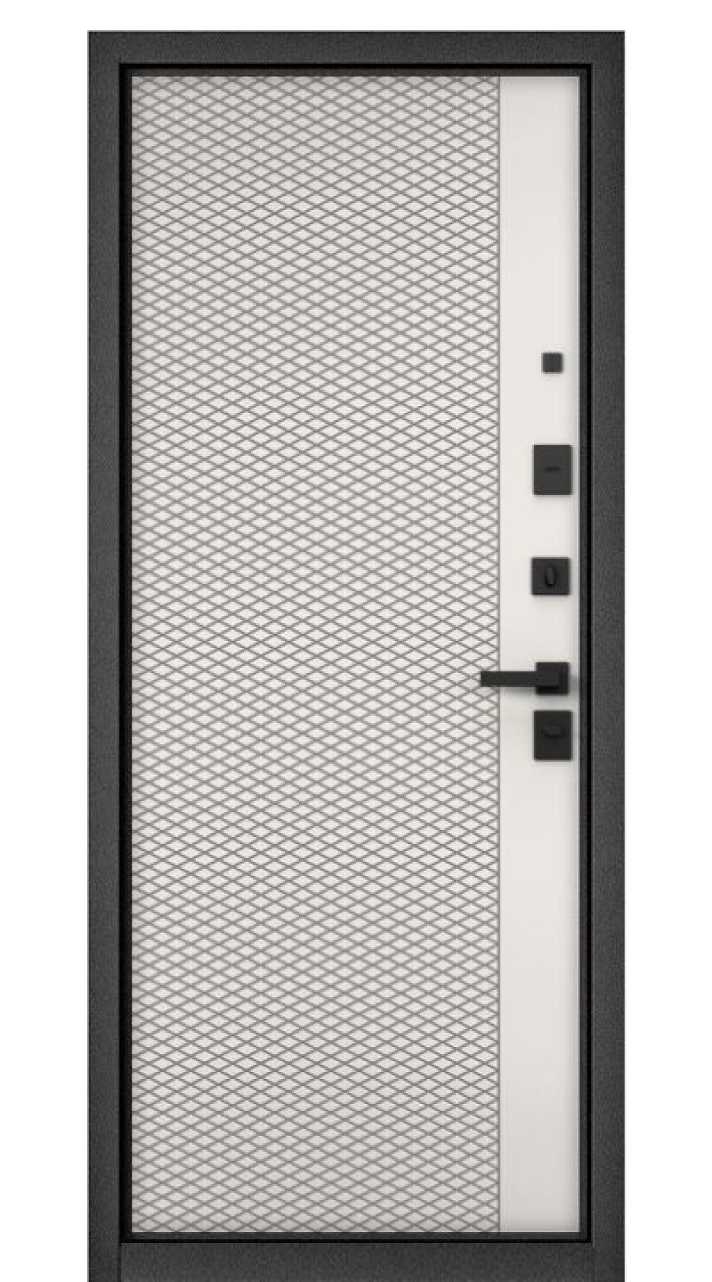 Дверь Trust eco PP-3 Mastino