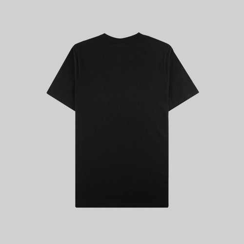 Футболка мужская Carhartt WIP Chase артикул:I026391 - купить в магазине Дайс