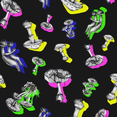 Грибы на черном фоне