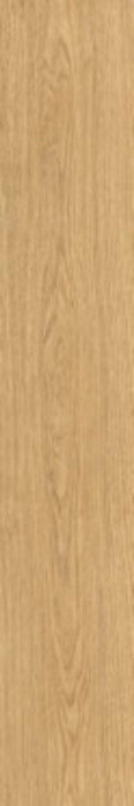 Керамогранит SOLOROVERE FLAMED NAT/RET (05389)