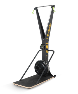 Лыжный тренажер Hasttings EXPIRIENCE SKIERG