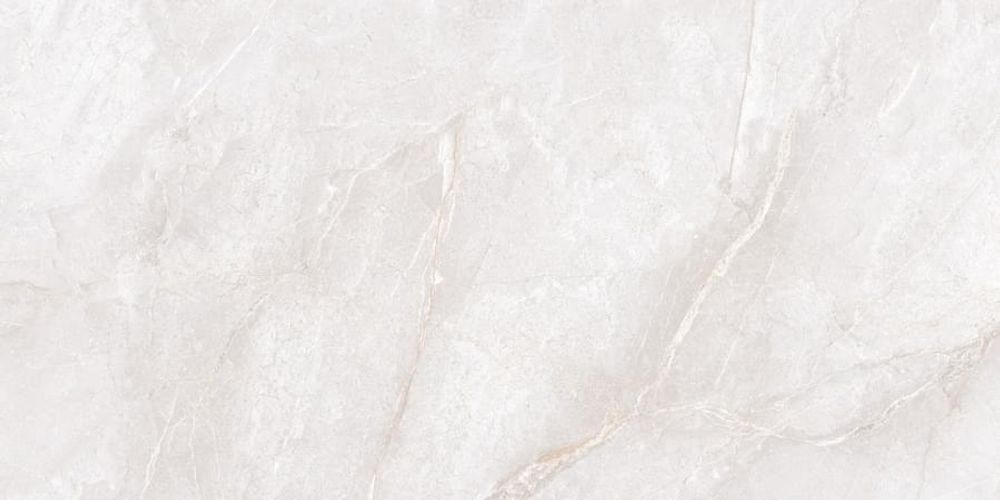 Neodom Marble Orobico Bianco Polished 60x120