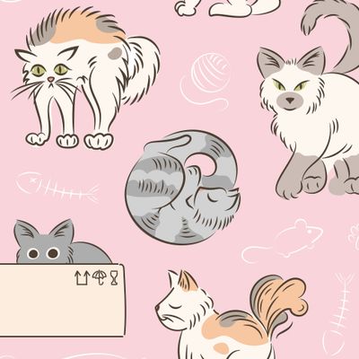 кошки. Толстый милый  Домашние питомцы. Кот спит, в коробке