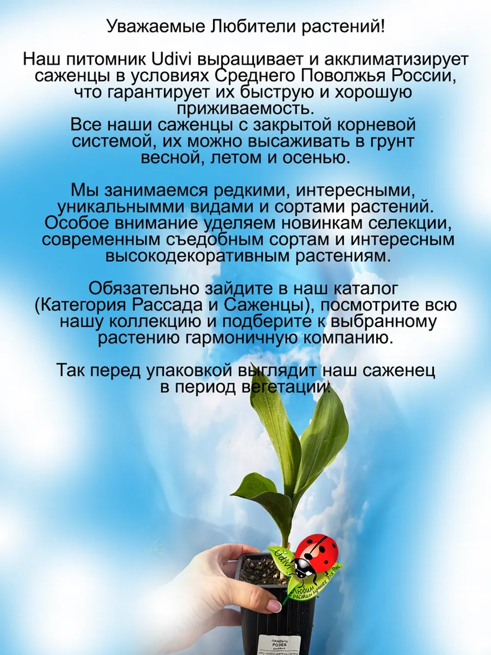 Ландыш Майский