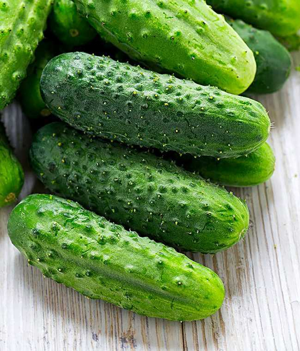 Огурцы колючие