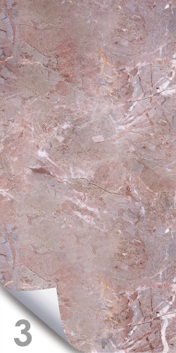 Ветка Сакуры