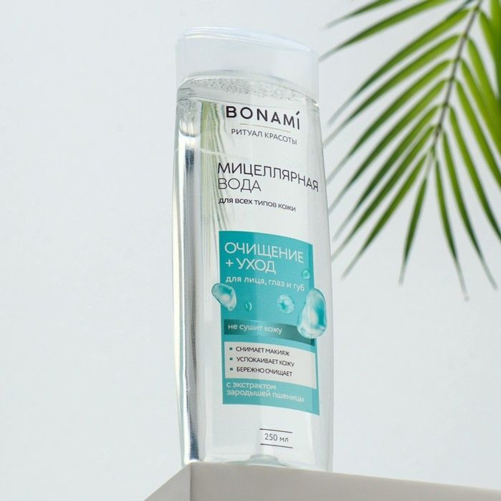 Мицеллярная вода для снятия макияжа с экстрактом белой ивы и протеином зародышей пшеницы - 250 мл.