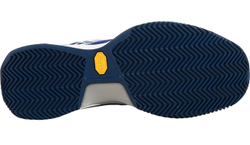 Мужские кроссовки теннисные Lotto Raptor Hyperpulse 100 Clay - royal gem/all white/blue