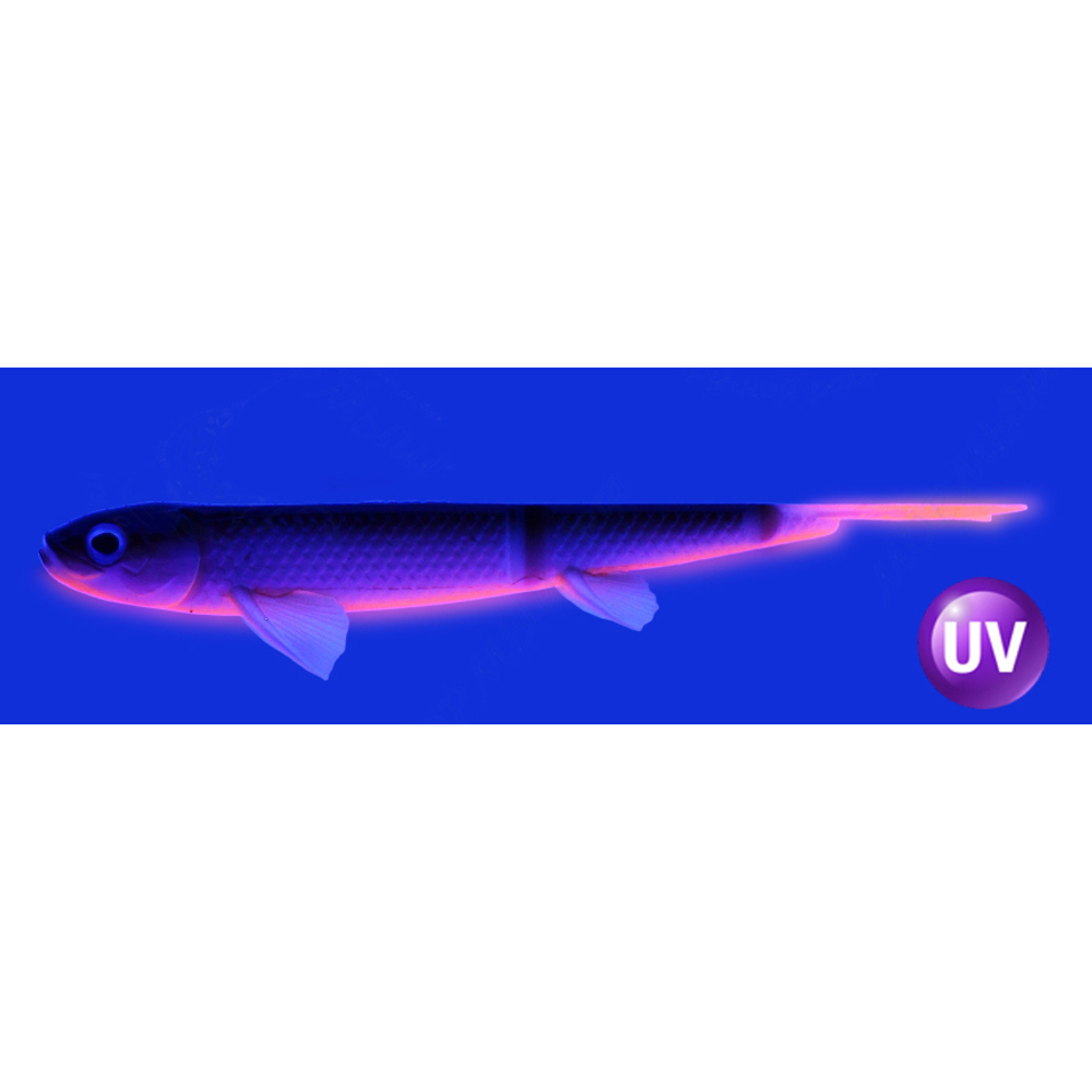 Слаг силиконовый Vido Craft Sebastian (20см / 8"), 2шт