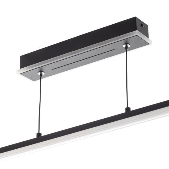 CL203711 Trent Черный Подвес