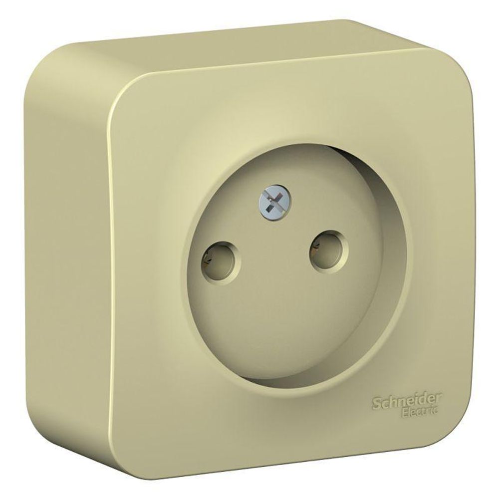 Розетка 1-м ОП Blanca 16А IP20 250В без заземл. без защ. шторок с изолир. пластиной беж. SE BLNRA000117 Розетка 1-м ОП Blanca 16А IP20 250В без заземл. без защ. шторок с изолир. пластиной беж. SE BLNRA000117