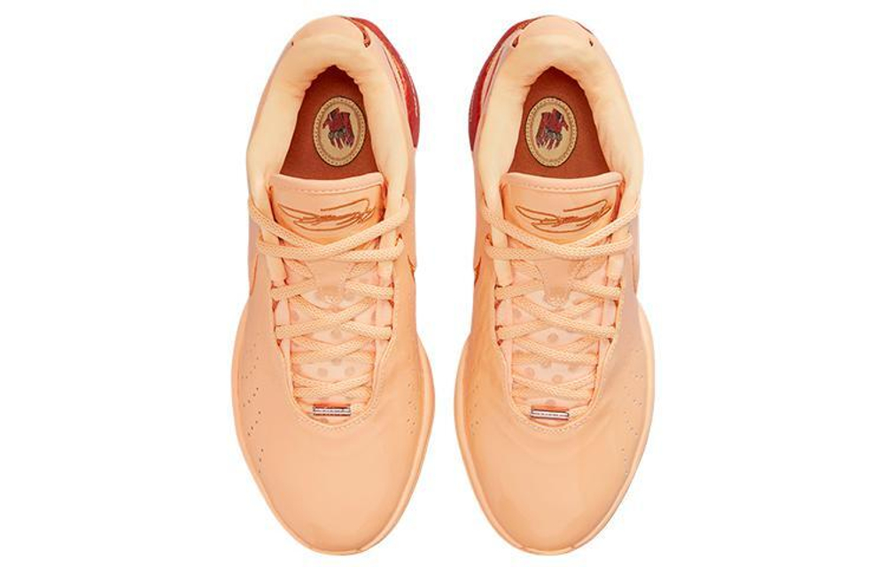 Кроссовки Nike Lebron 21