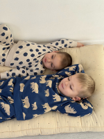 Утеплённый свитшот Mjölk Бурые мишки