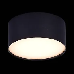 ST606.432.12 Светильник потолочный Черный LED 1*12W 3000K 1 080Lm Ra>85 120° IP20 D120xH55 185-265V Накладные светильники
