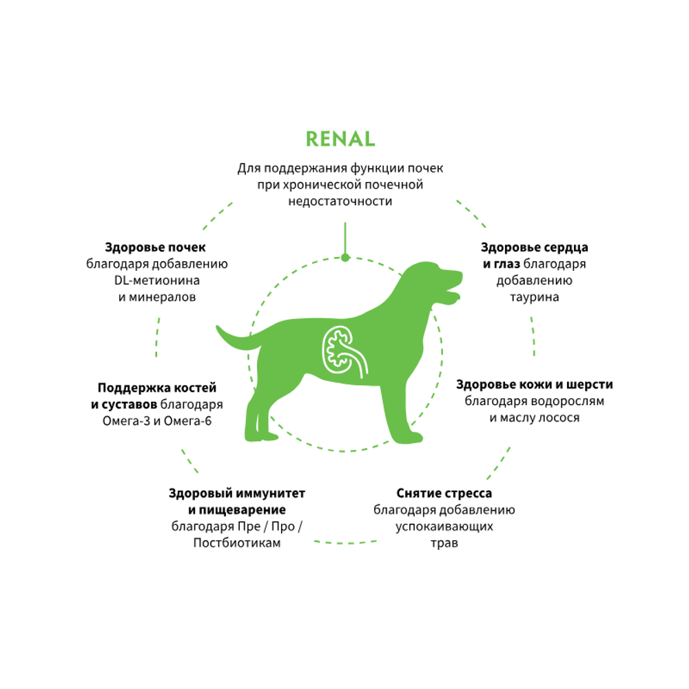 Сухой диетический корм GRANDORF VETERINARY DIET Dog RENAL для собак, для поддержания функций почек при ХБН Сухой диетический корм GRANDORF VETERINARY DIET Dog RENAL для собак, для поддержания функций почек при ХБН