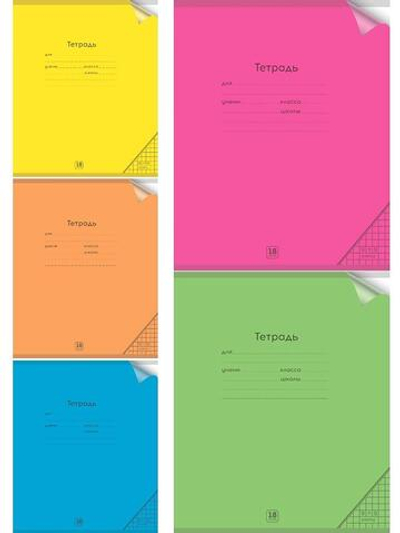 Тетрадь А5 18л. клетка Неон цветн.пласт.обложка ассорти 5 цветов (Проф-Пресс)