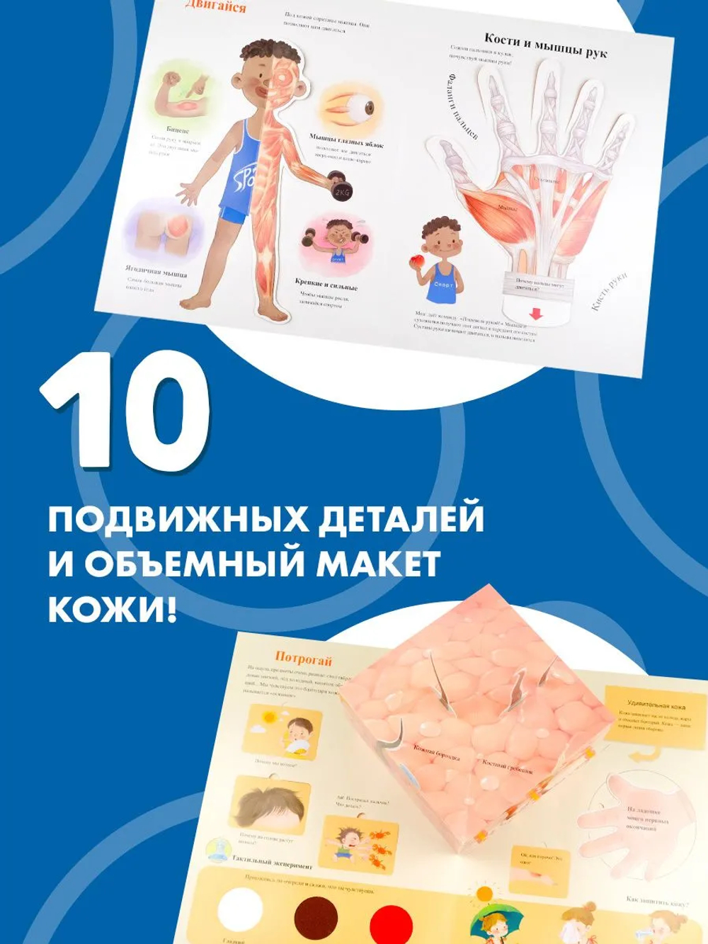 Все секреты человека
