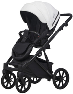Детская коляска Riko Basic Montana X Ecco 2 в 1 32 White-Light Silver (белый-св.серый)