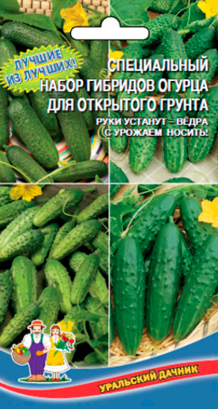 Огурец Специальный Набор Для открытого Грунта F1 Уральский дачник