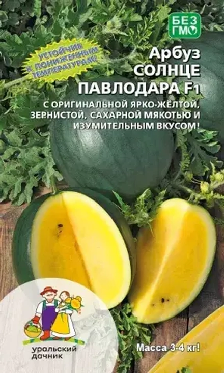 Арбуз Солнце Павлодара 5шт УрДачник