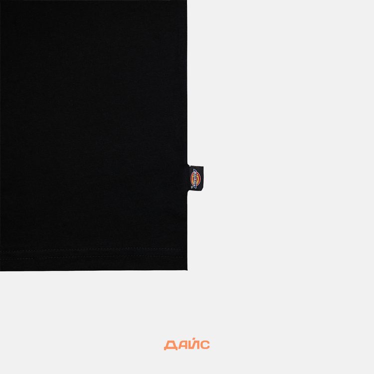 Футболка мужская Dickies Mapleton артикул:DK0A4XDBBLK1 - купить в магазине Дайс