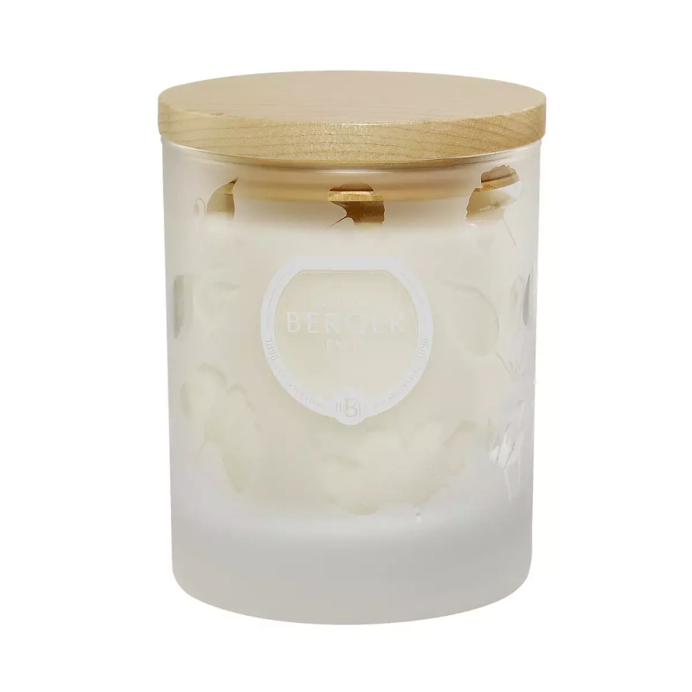 Maison Berger Paris - Ароматическая свеча Aroma Happy 180г / артикул   6362  / GTIN 3127290063625