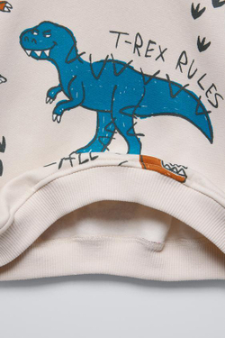 ZARA ТОЛСТОВКА С ПРИНТОМ «ДИНОЗАВР», ЦВЕТ ЛЬДА