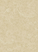 Римини-фон - 61 бежевая