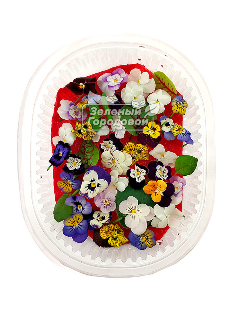 Съедобные цветы микровиолы (фиалки), 35 шт