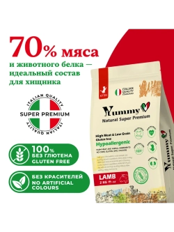 Корм для котят, беременных и кормящих кошек, ягненок 2 кг